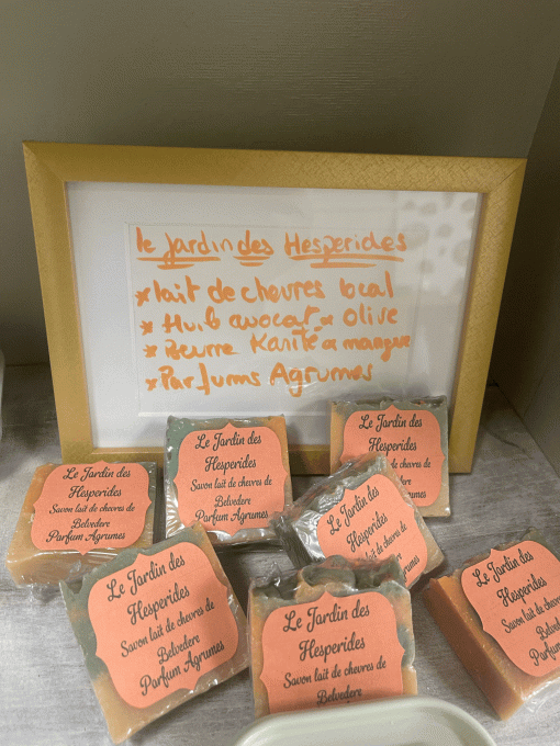 Savon Jardin des hesperides